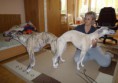 /album/a10-a-11-10-kryti-ronja-a-lord/kryti-rijen-2012-015-jpg/